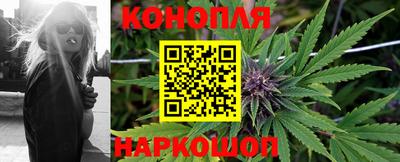 молекула духа Заводоуковск