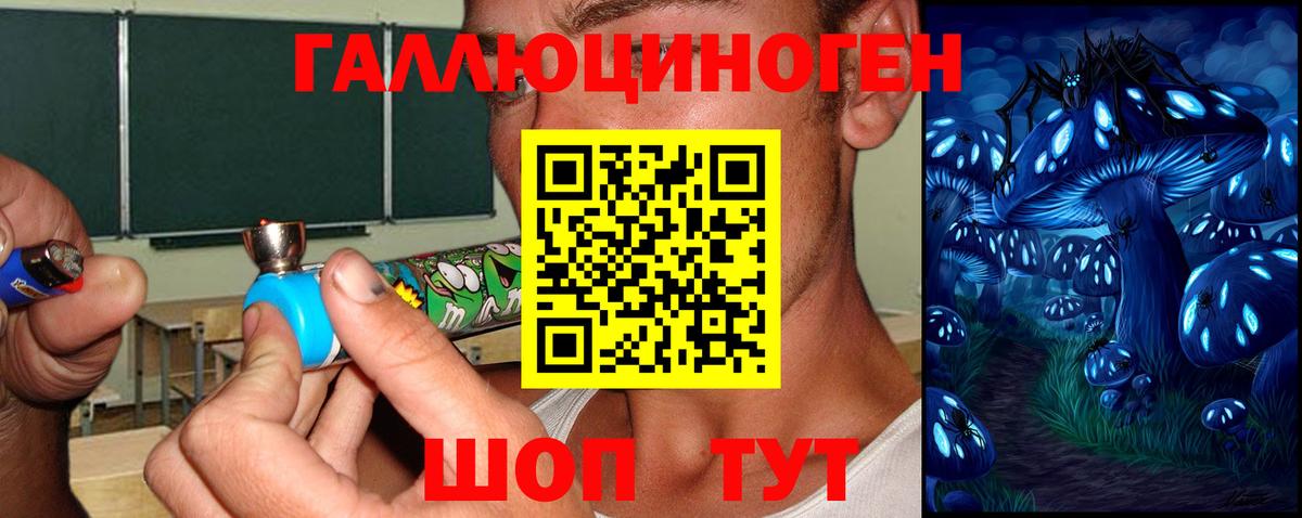 Галлюциногенные грибы мицелий Керчь